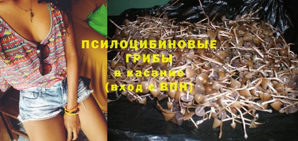 спайс Кинешма